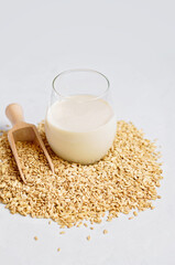 Vegan non dairy alternative oat milk in glass. Oat cereal in wooden spoo on stone table. concept of vegetarian diet eating, dieting, sport and fitness menu