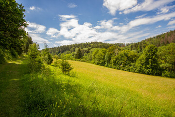 Landscape with meadows and forest in summer near Hildburghausen in Thuringia (Thüringen), Germany - obrazy, fototapety, plakaty