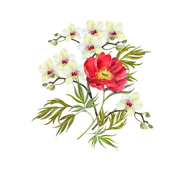 Watercolor bouquet  white orchid with red peony on white background. Floral illustration.