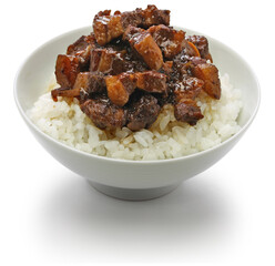 ru rou fan, taiwanese braised pork rice bowl