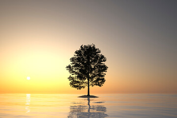 Fototapeta premium abstract landscape with tree island in the sea in front of sky and sun - 3D Illustration