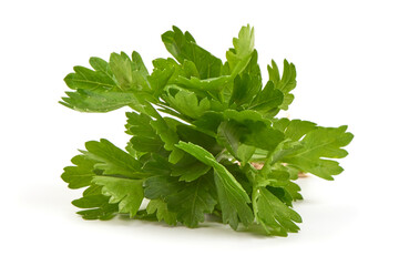 Fresh parsley, isolated on a white backgroound