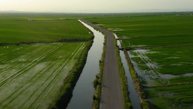 Wetland rice fields in valencia spain aerial view