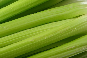 fresh Celery stalk isolated on white wooden background