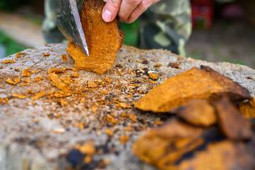 men's hands with an axe chop into pieces peeled mushroom chaga birch mushroom in the fresh air. step by step