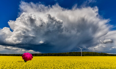 Approaching thunderstorm to blossoming rapeseed field, concept of weather forecast and eco-tourism 