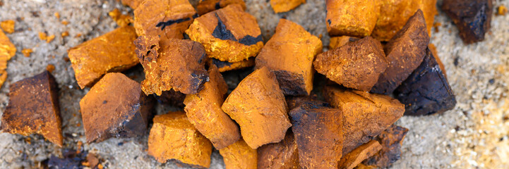 pile pieces of chopped and peeled chaga mushroom birch fungus are stacked on a wooden stump background. step by step. banner - obrazy, fototapety, plakaty