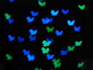 Butterfly light bokeh background of vivid colorful night light.