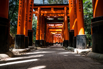 Fototapeta na wymiar Fushimi Inari path low angle