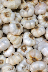 Vertical background of the garlic. This article looks at research into the health benefits of garlic.