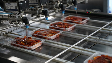 dried tomato production line. tomato production line. Modern High-Tech Pickled Tomato Production Line A. Original view of some red tomatoes moving fast on a modern conveyor line in a tomato processing