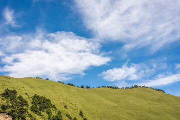 green grassland under blue sky