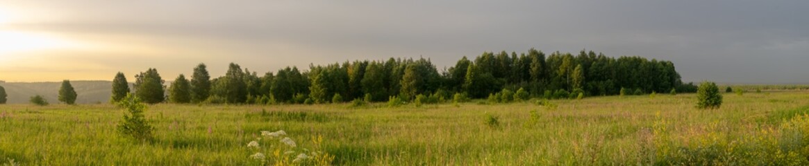 grass in the morning © Vitaliy