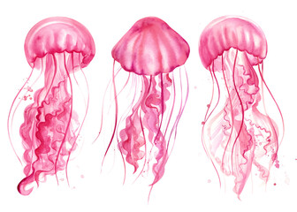 Fototapeta premium Pink jellyfish Watercolor illustration on a white background. Marine inhabitants