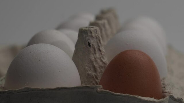 Eggs in the cell. One egg is different collor than another. Focus shift on macro shot. Before cooking. Laowa 24 macro