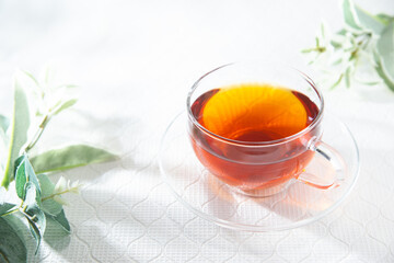 透明グラスに入ったノンカフェインのルイボスティー。