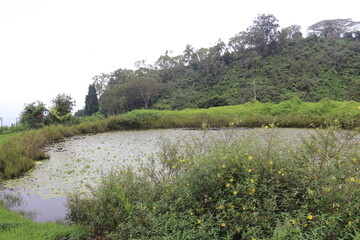 Etang de montagne &agrave; Tahiti, Polyn&eacute;sie fran&ccedil;aise	