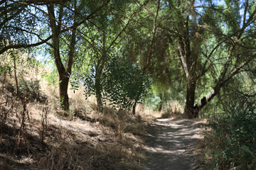 El Pardo, Rio Manzanares