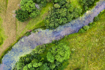 Beautiful river covered in water lilies aerial