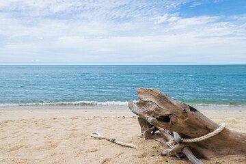 Driftwood on the beach with soft waves and blue sky at the Gulf of Thailand. Natural background of beautiful seascape.