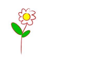 Hand drawn white daisy flower illustration isolated on the white background
