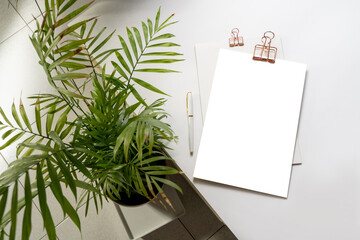 White branding mockup with a palm plant. minimal template corporate concept.