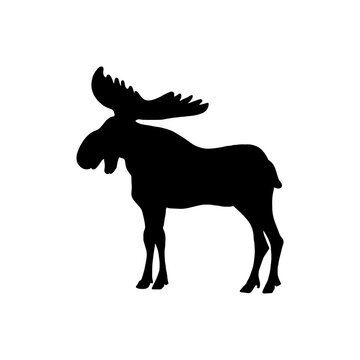 Moose silhouette vector logo. Canadian elk illustration..