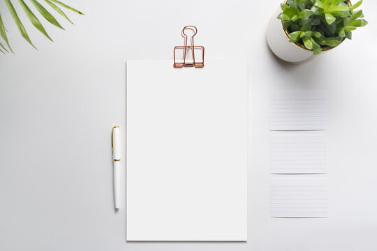 Clipboard with golden clip, fountain pen and plants on desk.  Branding stationery mockup. Corporate modern items set