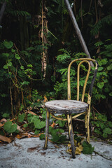 Vintage old wooden chair with peeling paint on rainforest natural background. Concept of loneliness and abandonment.