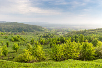 Fototapeta premium early morning landscape