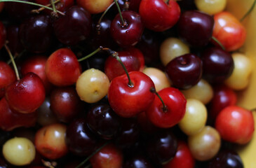 Background of red and yellow cherries, close up