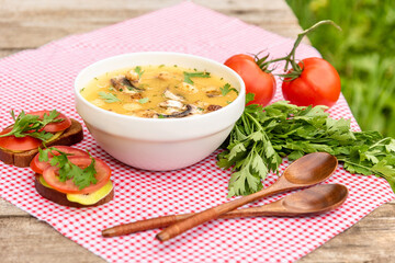 Delicious mushroom soup in nature on a red checkered napkin. Village lunch in the open air.