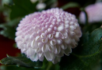 Ping pong towards left