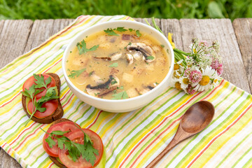 Mushroom soup and tomato sandwiches on a yellow napkin on a background of green grass. Vegetarian lunch in nature.