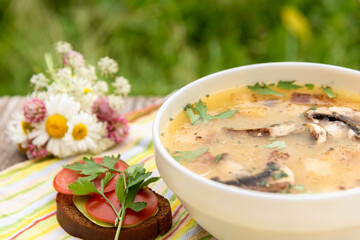 Mushroom soup close-up and tomato sandwich on a background of green grass.