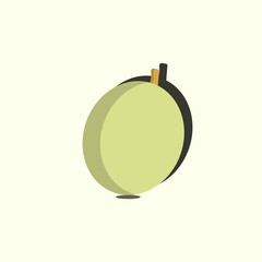 illustration of melon fruit logo