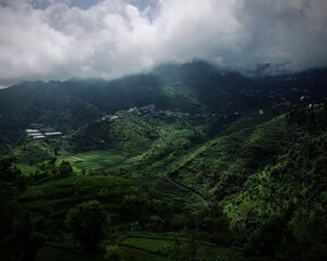 Fototapeta premium nature never fails us to inspire