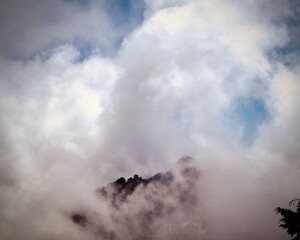 nature never fails us to inspire