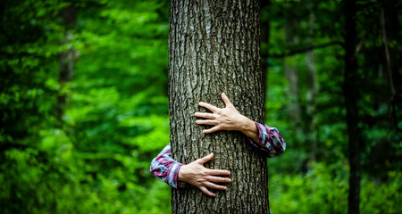 woman hand embracing a tree in green forest - nature loving, fight global warming, save planet earth