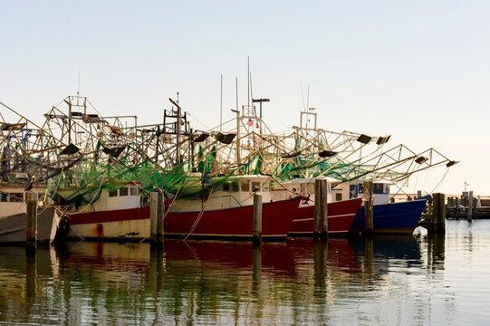 old shrimp boats docked in biloxi mississippi at the end of the shrimping season