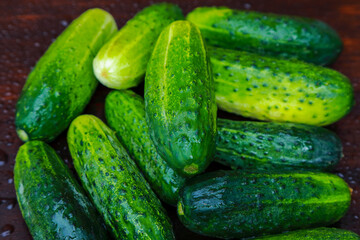 fresh homemade cucumbers from the garden