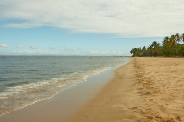 Caribbean beach on a sunny day.