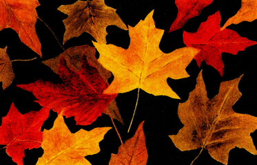 Autumn Leaves