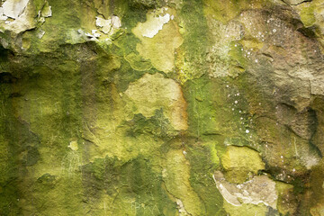 Obraz premium Abstract rocks. The rough surface. Great background or texture for your project.