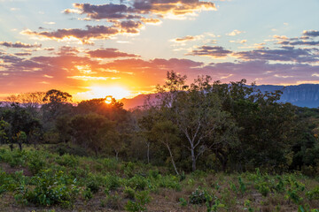 Nascer do sol no campo.