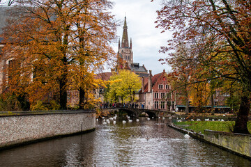 Autumn in Brugge, Belgium.
