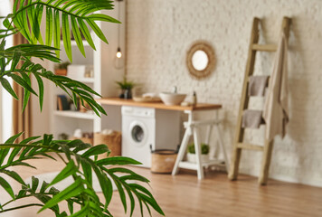 Modern washing room and machine style, bookshelf wooden table and botanic vase of plant.