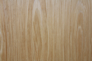 light wood grain panel wall backdrop background