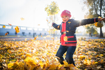 Cute cheerful little girl throws up yellow maple leaves while walking in a sunny autumn park....