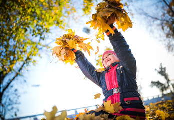 Fototapeta premium Cheerful little girl holding yellow maple leaves in her hands while walking in the autumn sunny park. Concept with third fall season and harvest